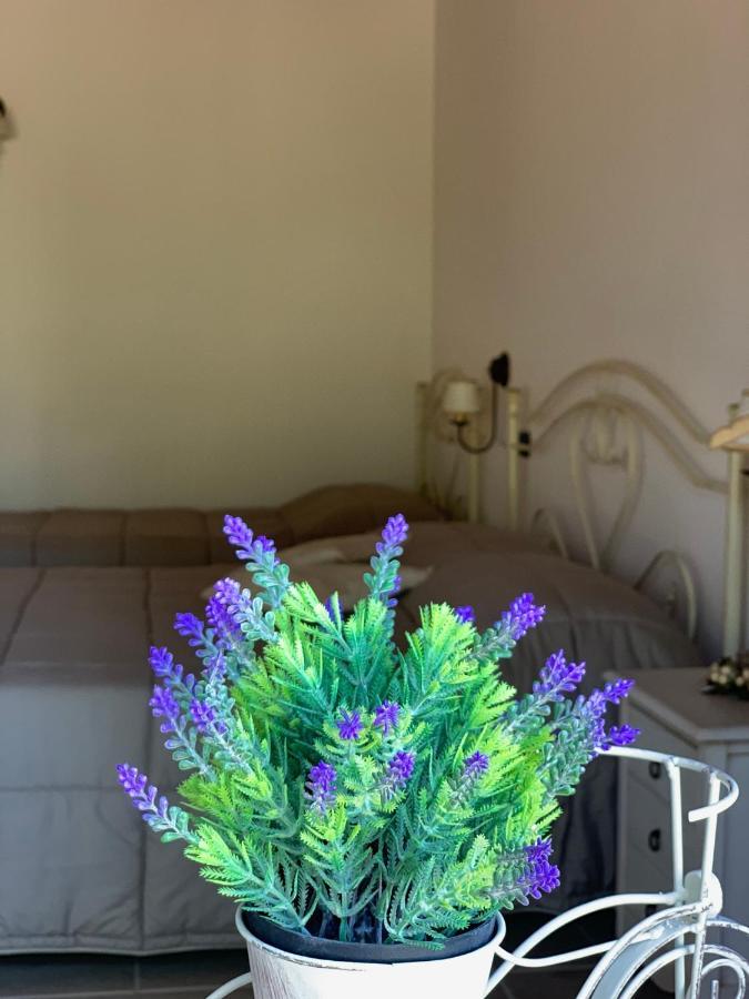 Bed & Breakfast Barsentello
